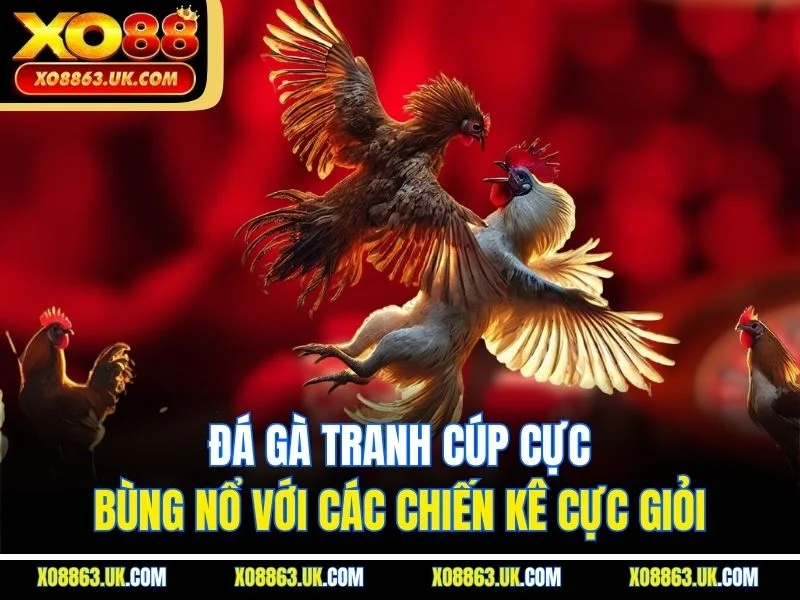 Đá gà tranh cúp cực bùng nổ với các chiến kê cực giỏi