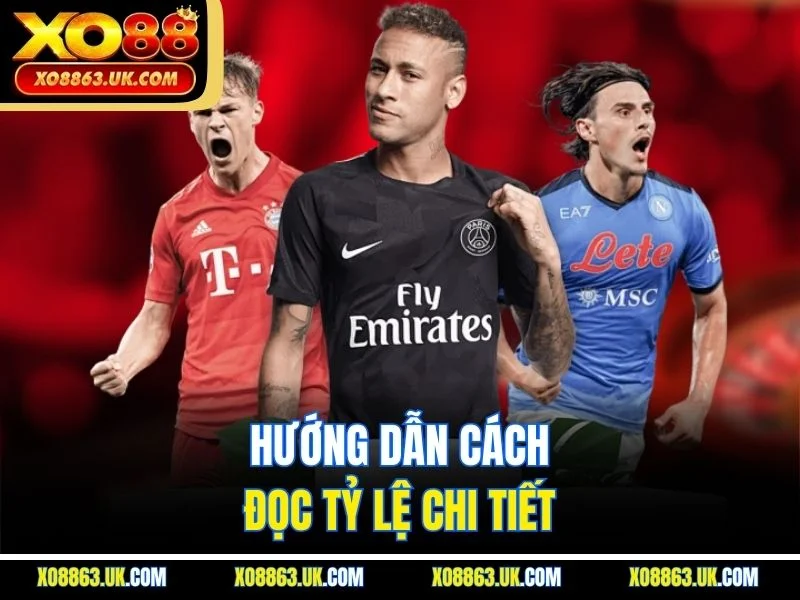 Hướng dẫn cách đọc tỷ lệ chi tiết