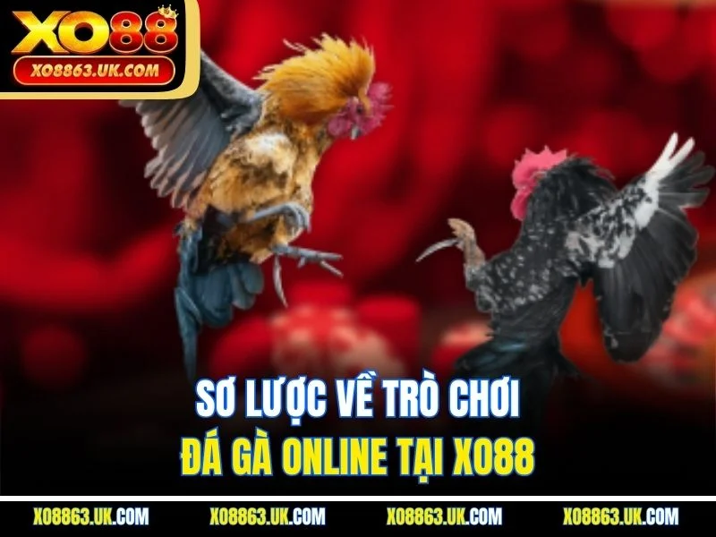 Sơ lược về trò chơi đá gà online tại XO88